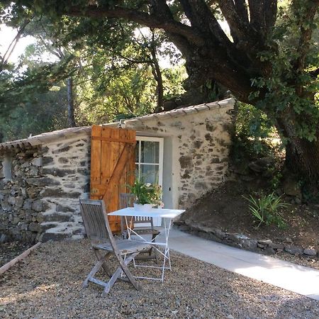 La Petite Bergerie, Les Hautes Roches Collobrières 外观 照片