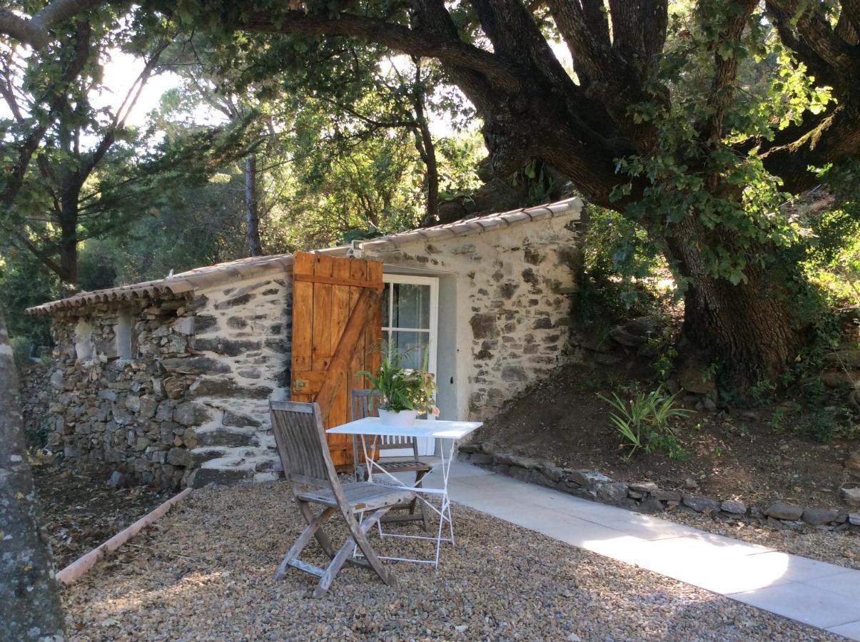 La Petite Bergerie, Les Hautes Roches Collobrières 外观 照片