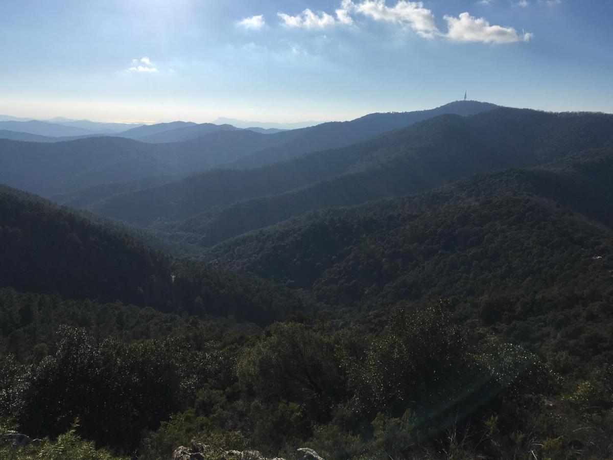 La Petite Bergerie, Les Hautes Roches Collobrières 外观 照片