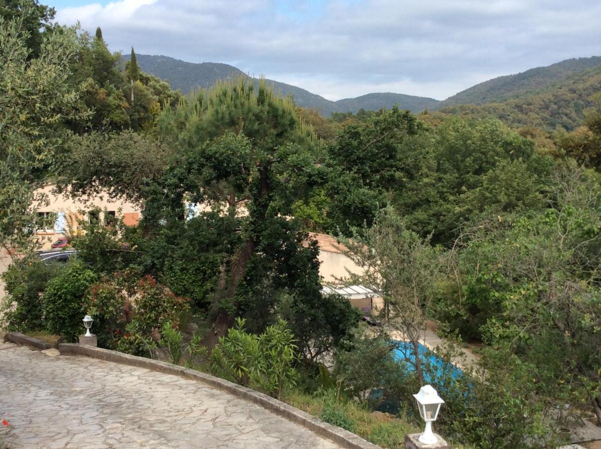 La Petite Bergerie, Les Hautes Roches Collobrières 外观 照片